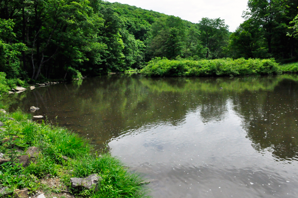 Laurel Hill Creek